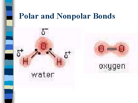 Ch4 Polar Or Nonpolar - Difference Between Polar and Nonpolar.